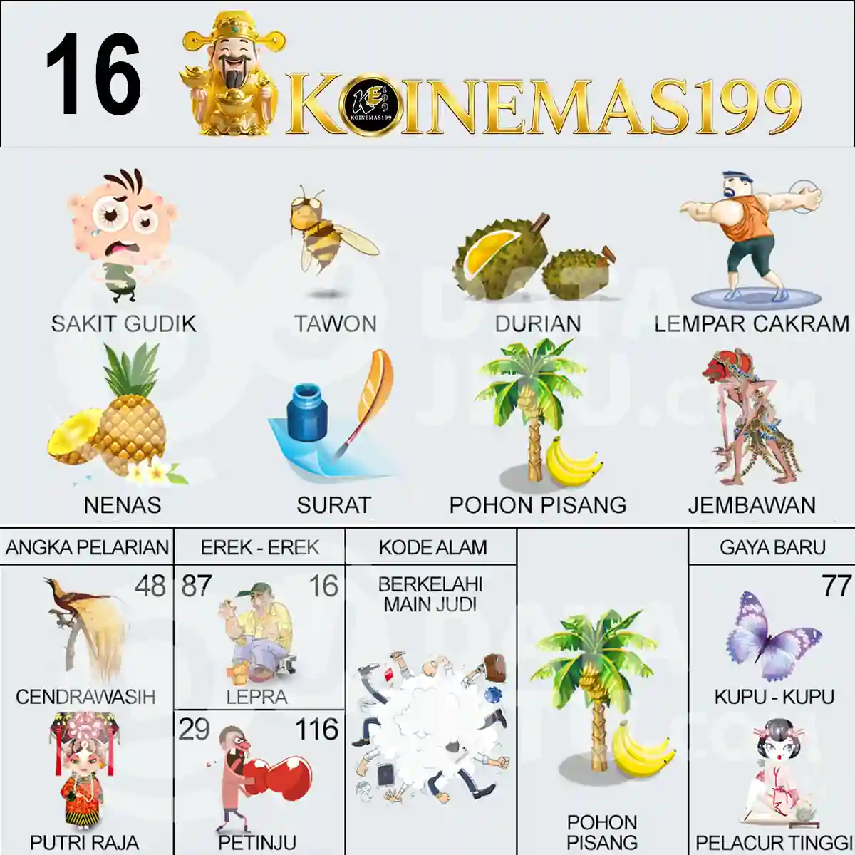 16