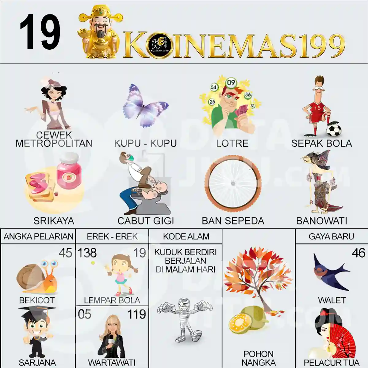 19