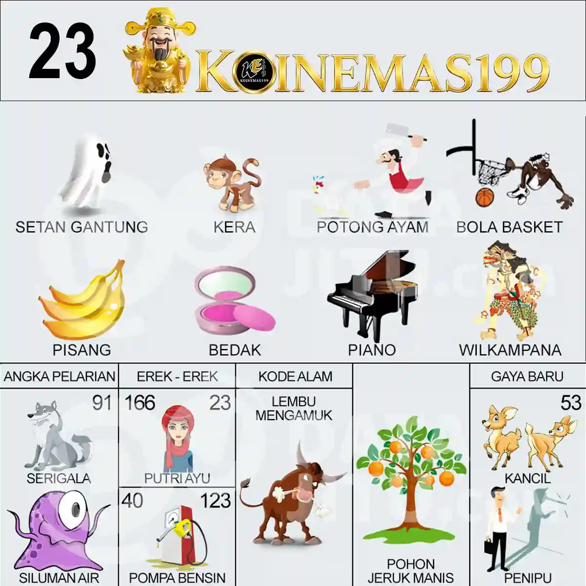23