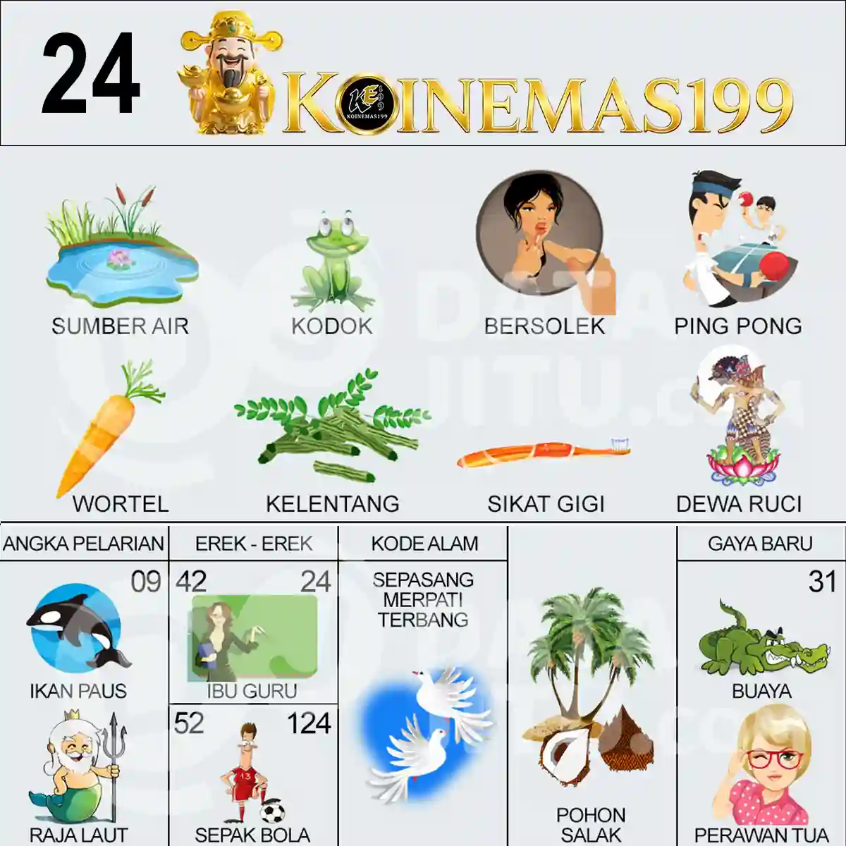 24