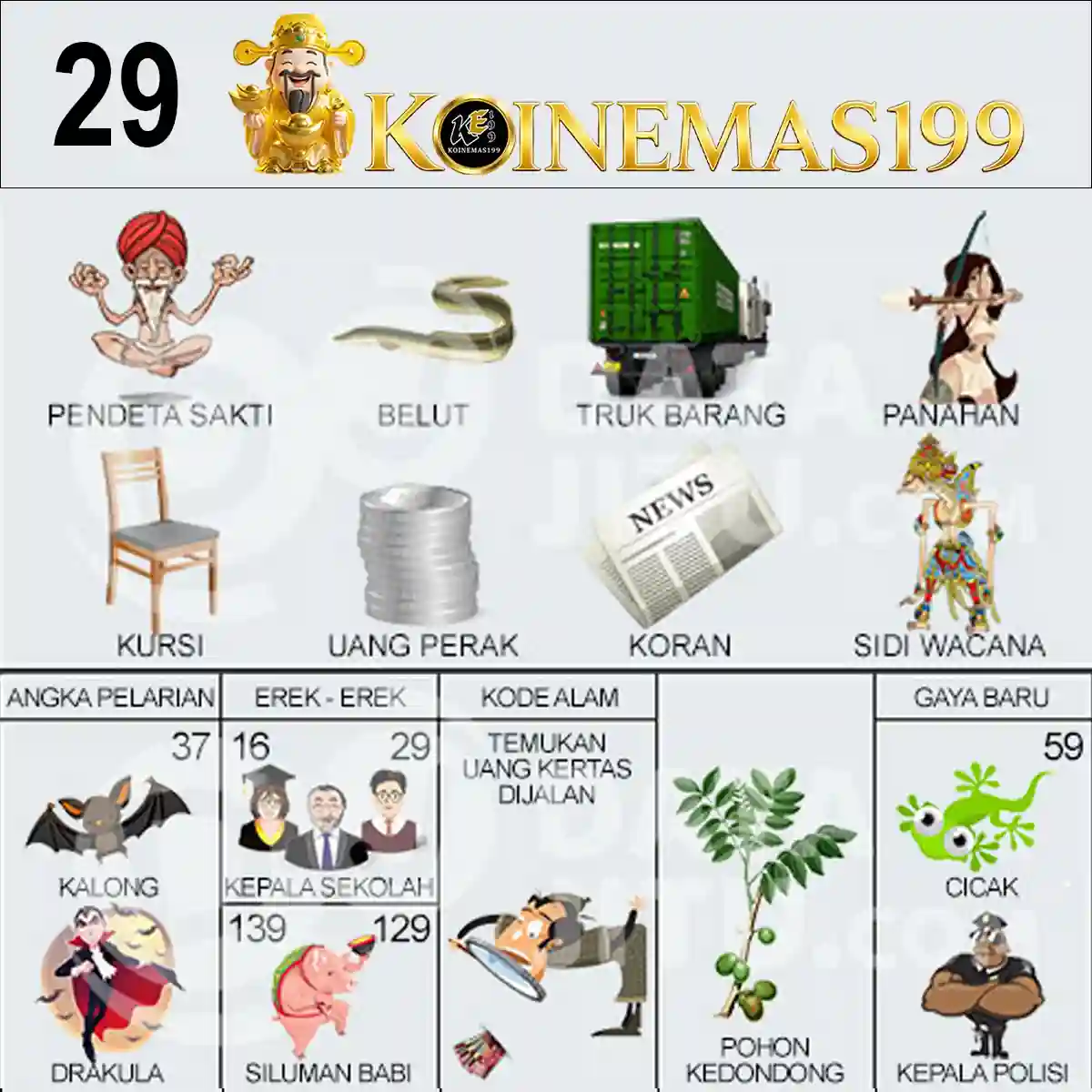 29