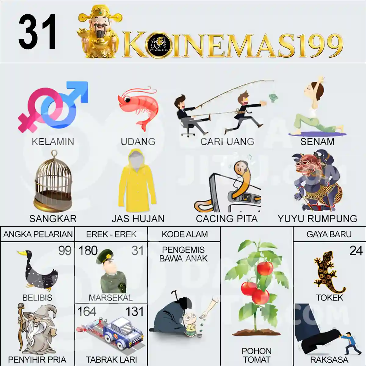 31