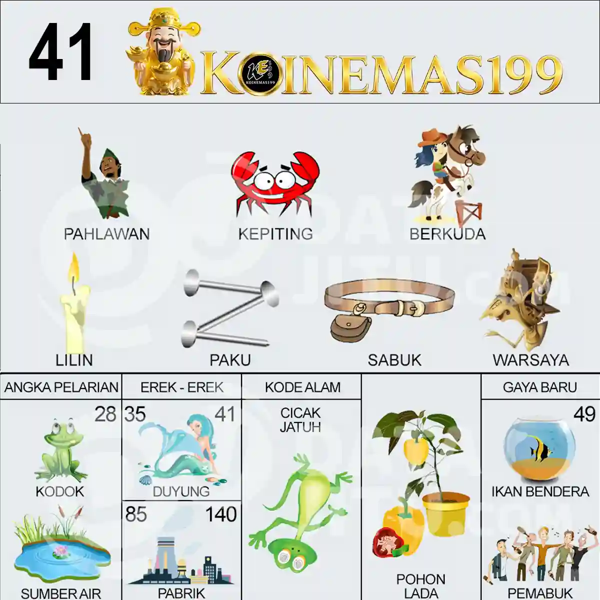41
