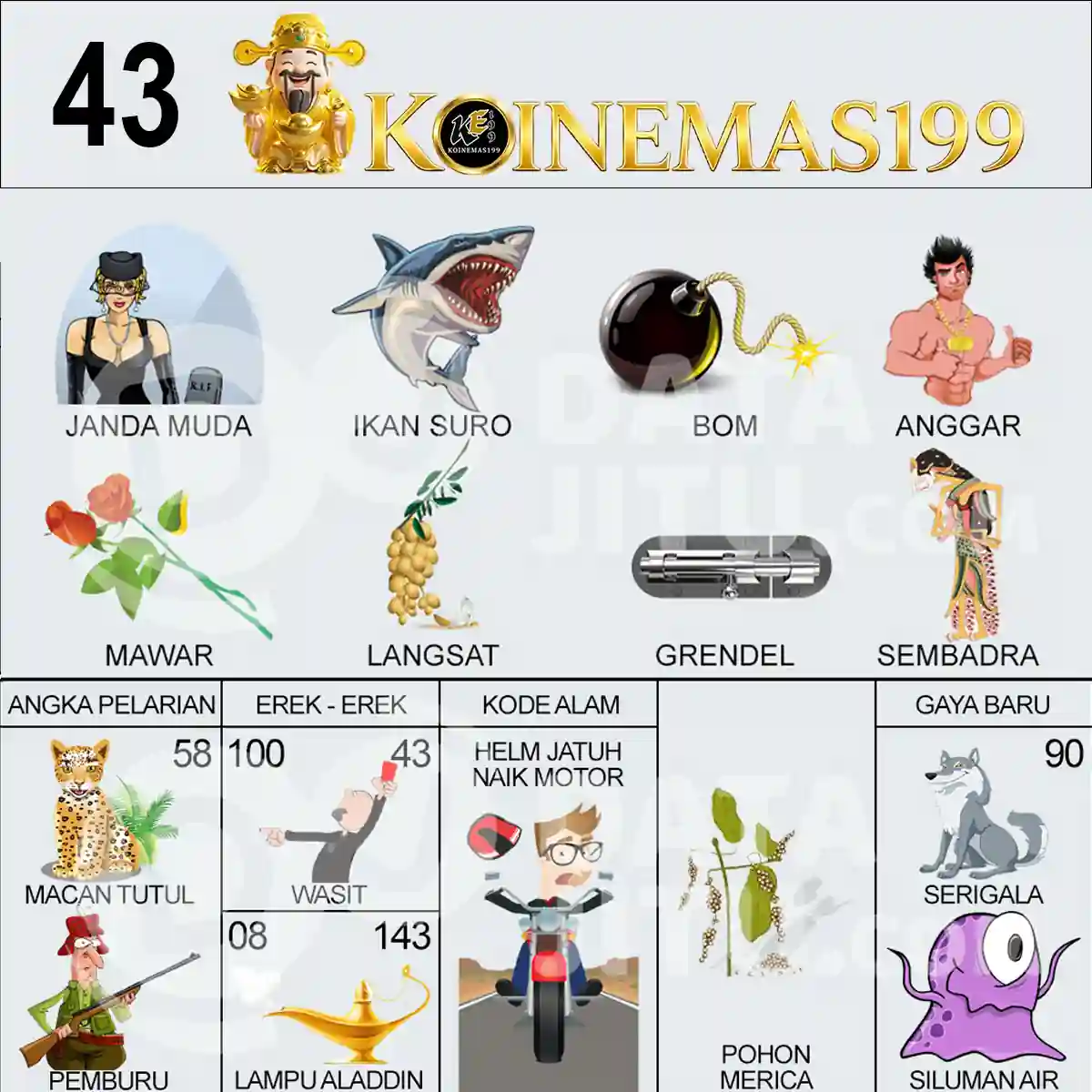 43