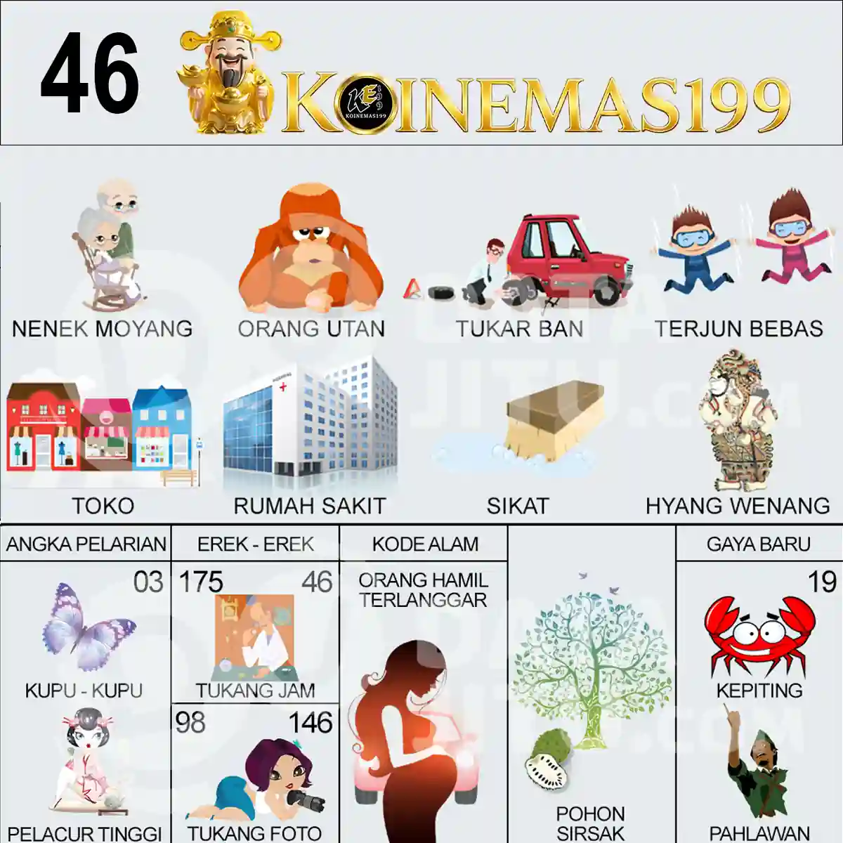 46