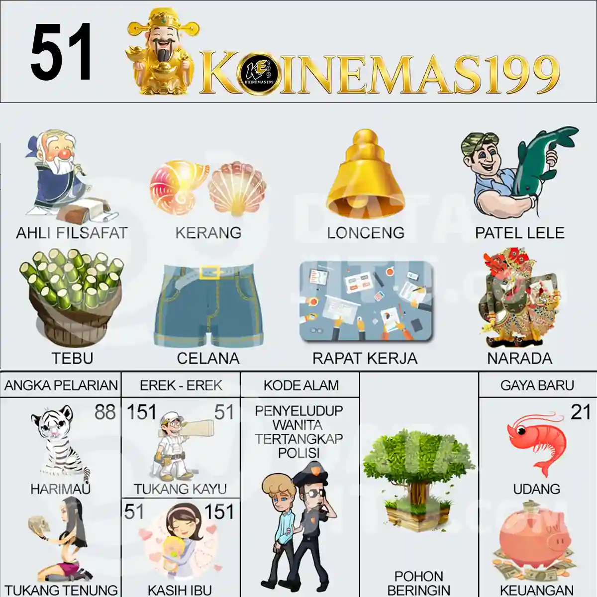 51