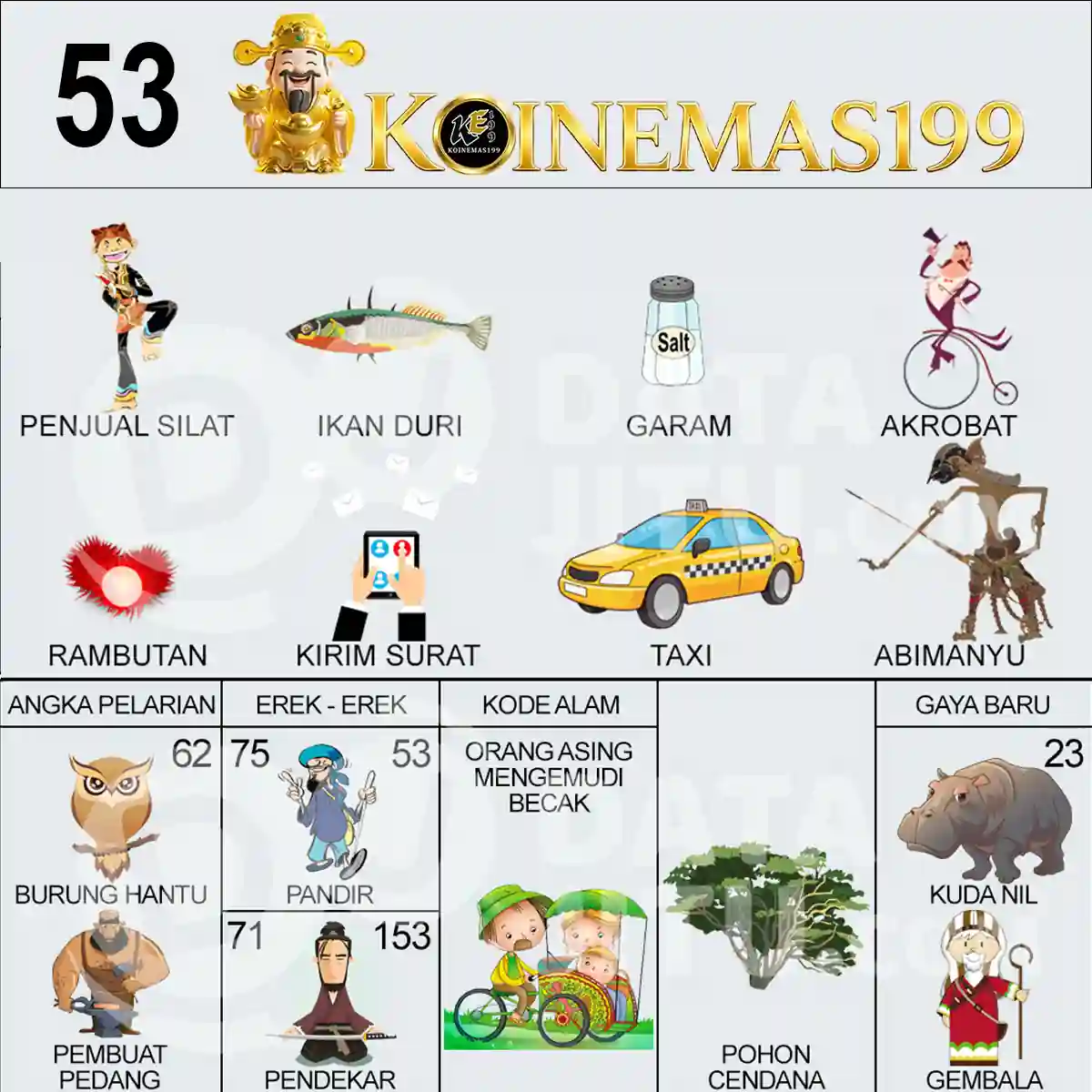 53