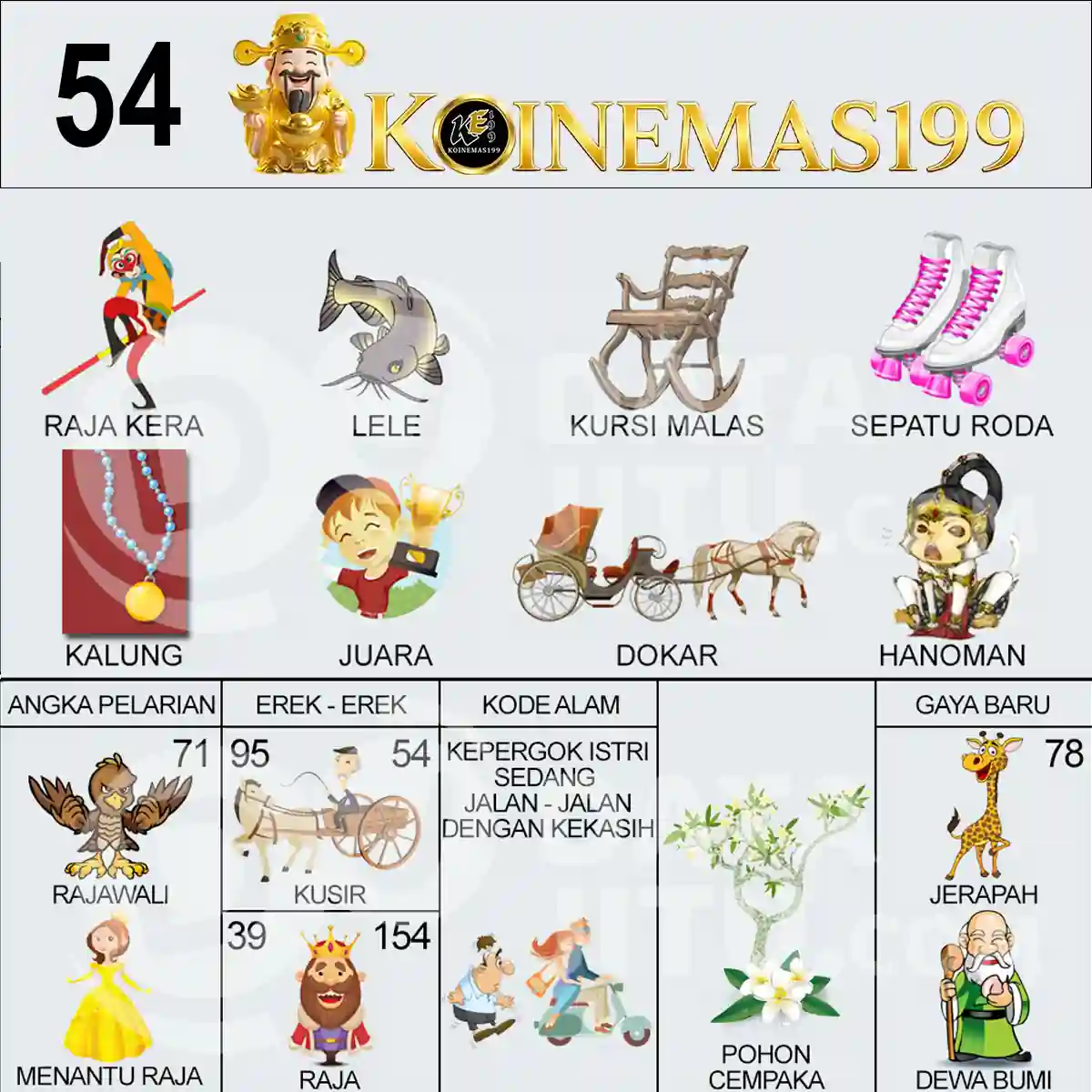 54