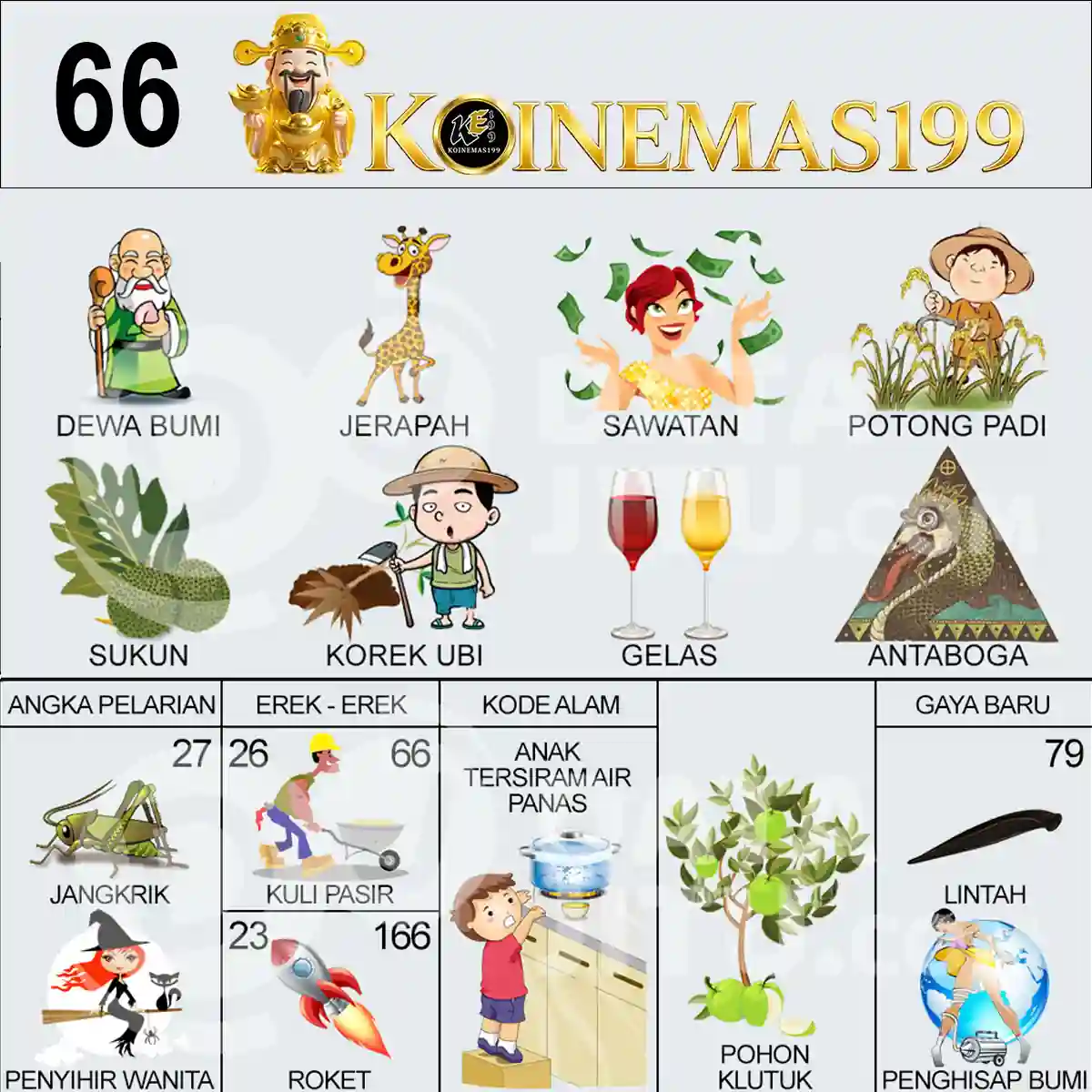 66