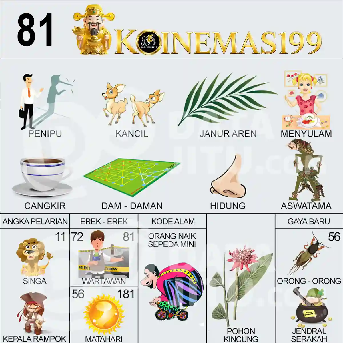 81